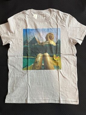 NWT Asropostale Large Light Gray Graphic Tee Multicolor Pool Sphinx